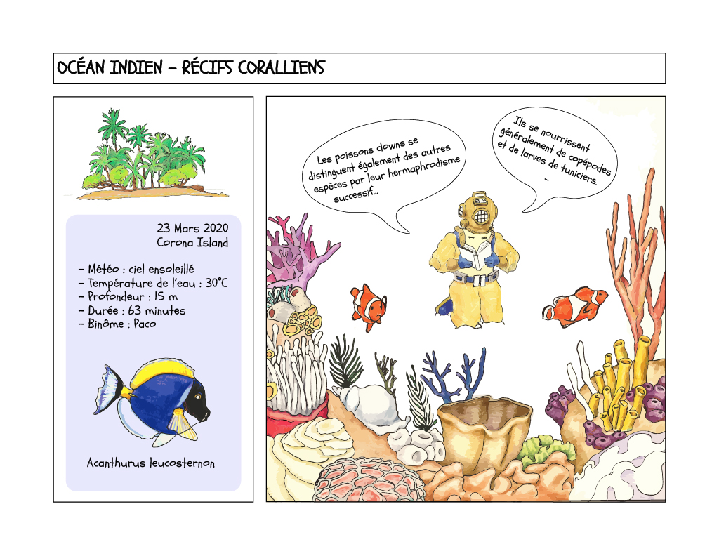 PLOUF Indian Ocean coral reef logbook cartoon illustration