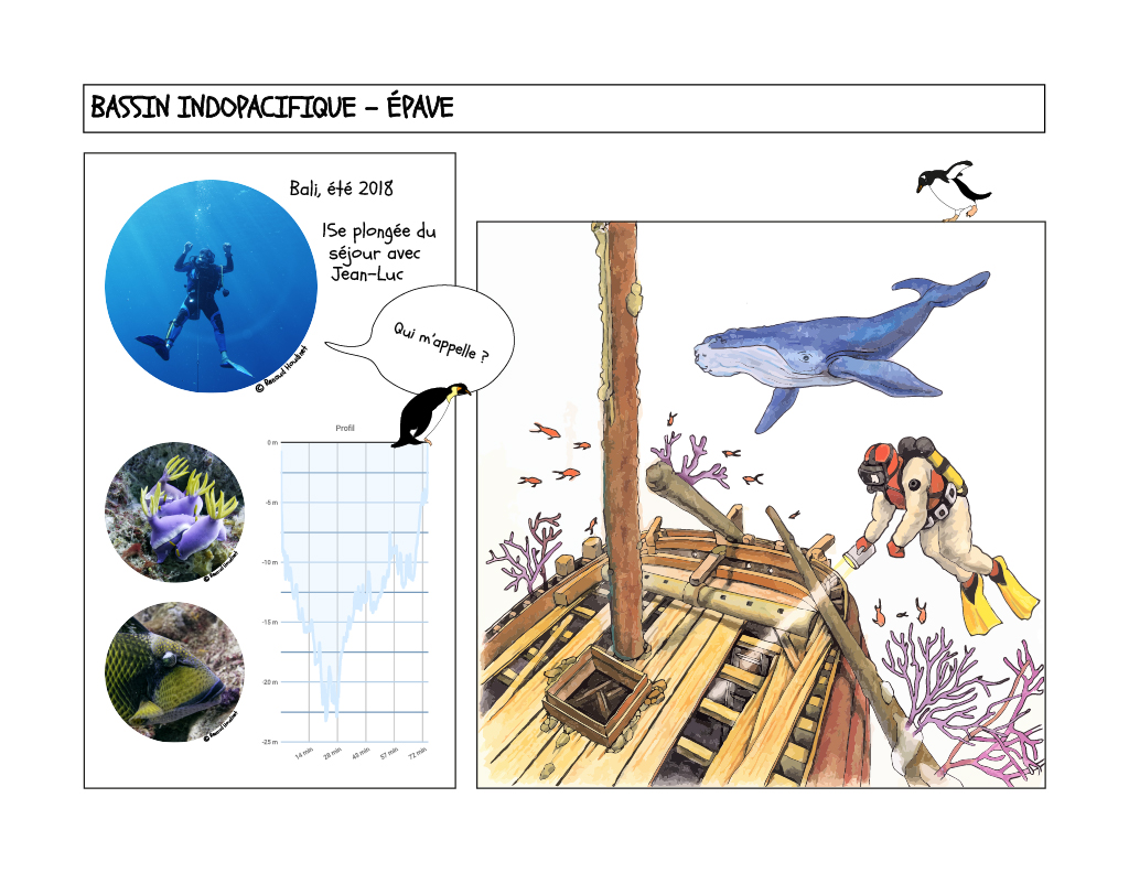 PLOUF Indo-Pacific Ocean ship wreck logbook cartoon illustration