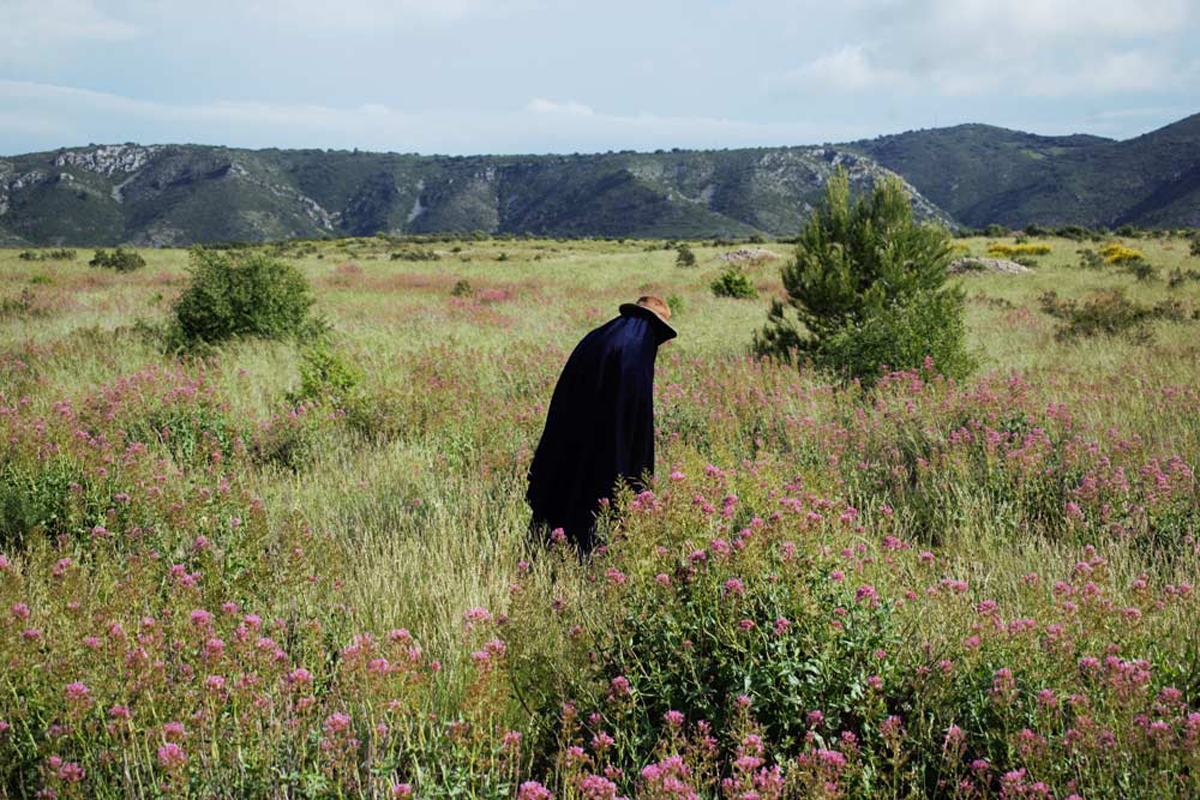 man wearing a hat standing in the middle of flower field