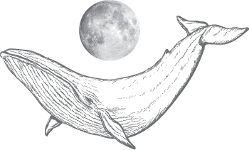 logo suah han with a moon and a grey whale beneath